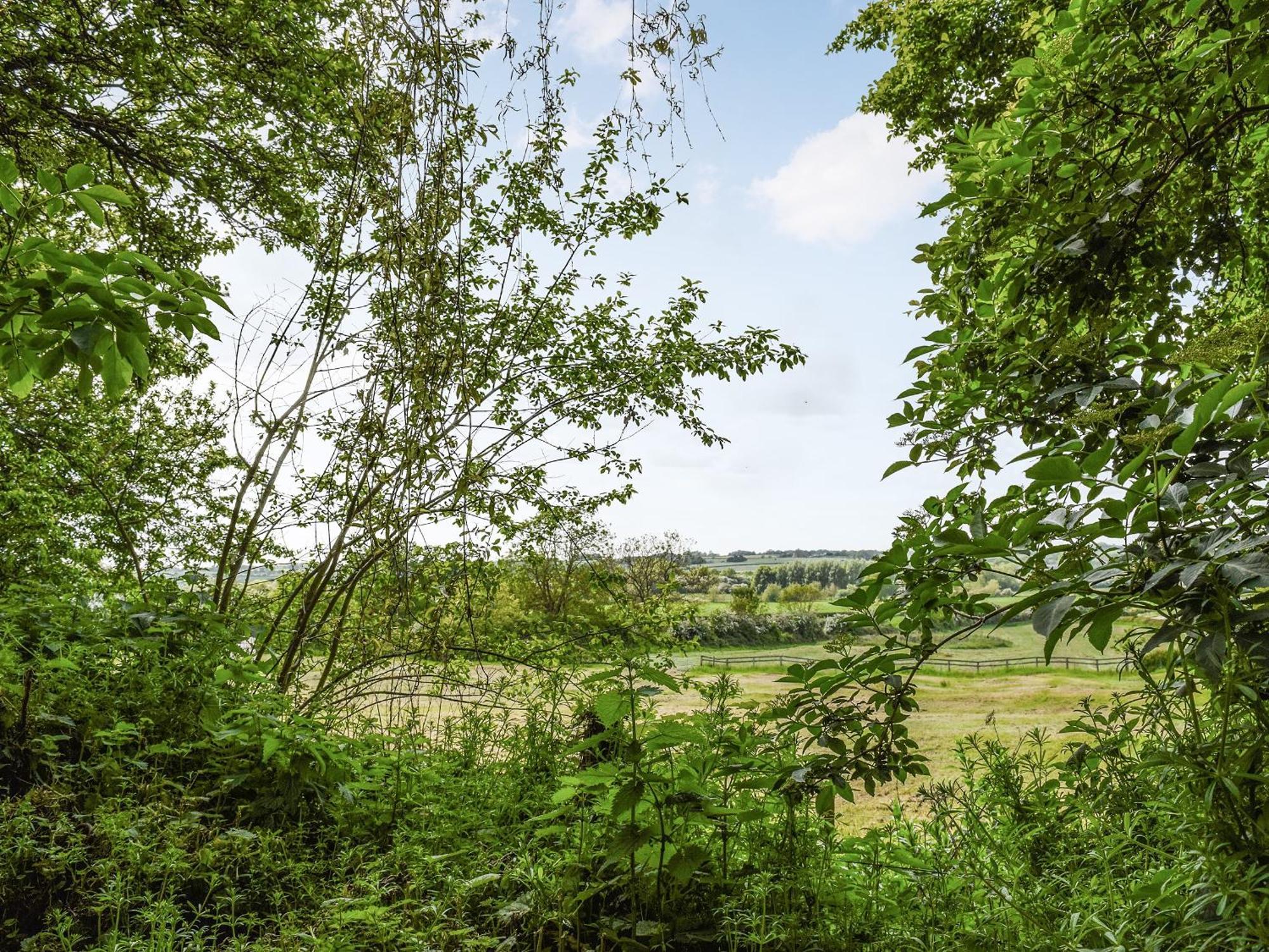 Wayside Cottage Adstock Екстер'єр фото